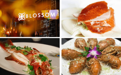 Blossom Chinese Restaurant in the Aria Las Vegas – Full Review